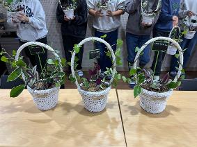 지혜로움으로 이해하다