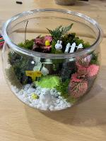 높음과 낮음의 구도